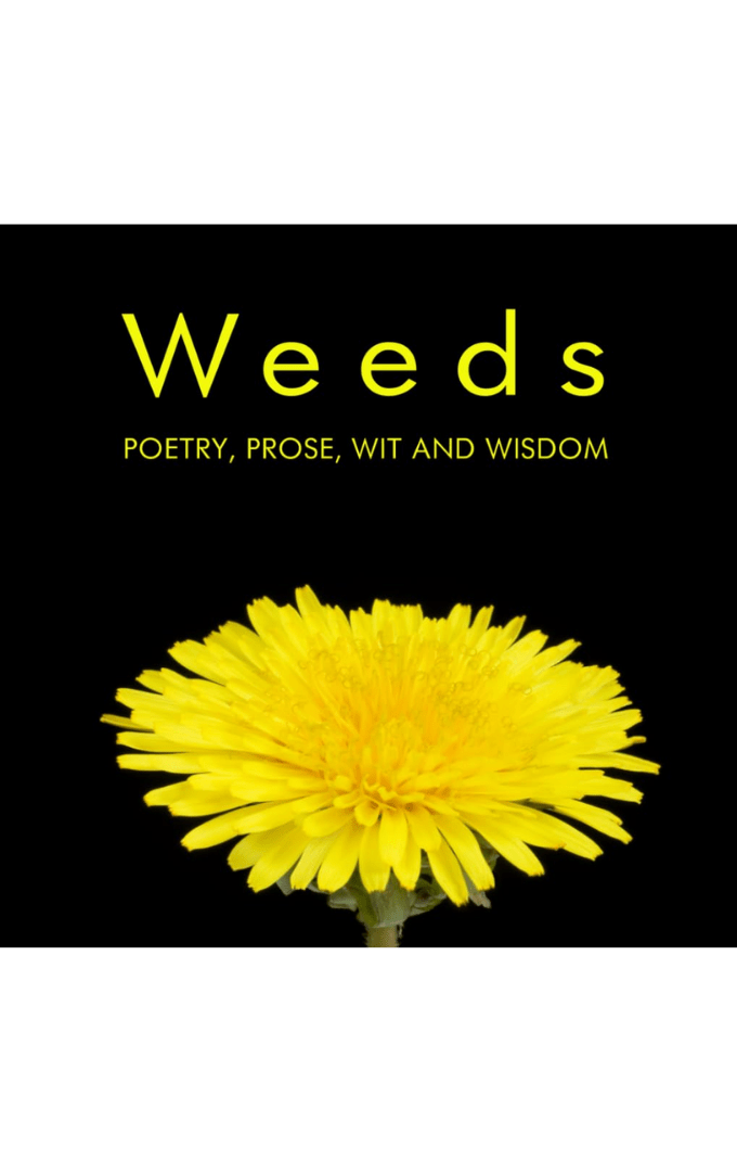 2020-07-14 – Valerie & Greg Duncan – WEEDS – Poetry, Prose, Wit and&nbsp;Wisdom